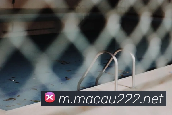 美狮美高梅mgmAPP 封面图